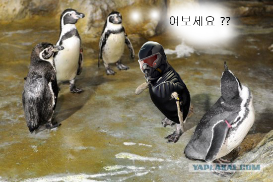 post-3-13020910565511