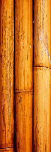 %D0%91%D0%B5%D0%B7%20%D0%B8%D0%BC%D0%B5%D0%BD%D0%B8-1 (1)