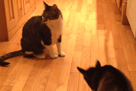 Takoy_malenkiy_a_uzhe_kozyol