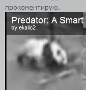 predator panda