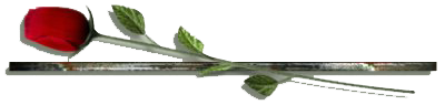 1_3_8_1