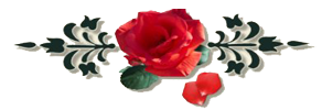 4__arnusha