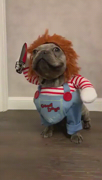 -собакен-Child's-Play-чакки-5449584