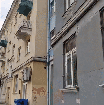 -убийство-мафия-птицы-5450084