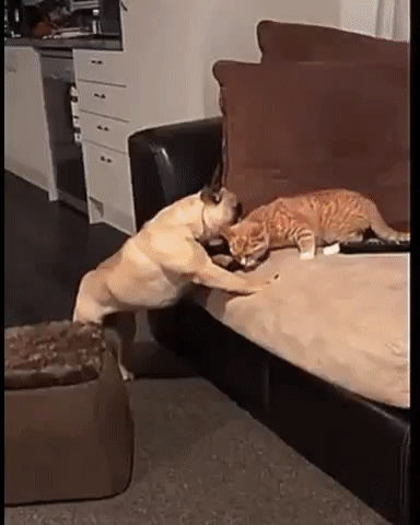 b11e88744078285cd2c65bfcfda97dd7_273238_1501766823