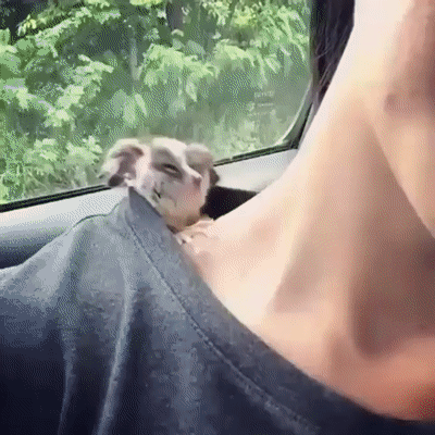 -галаго-5496310