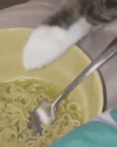 -котейка-5495221