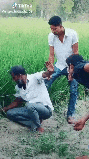 -змея-Tik-Tok-гифка-5497480