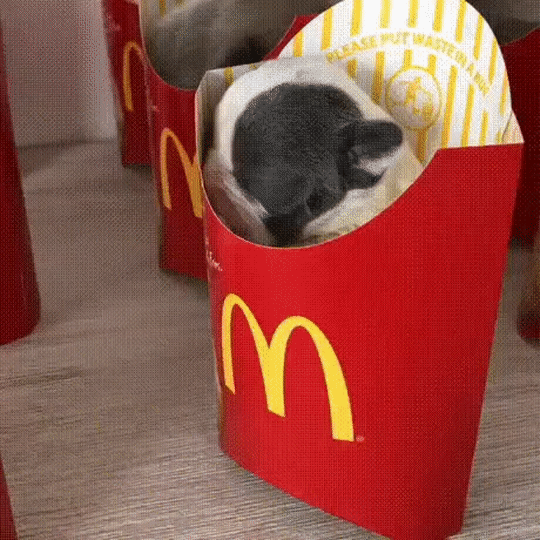 ezgif-3-bb3cf7e68259