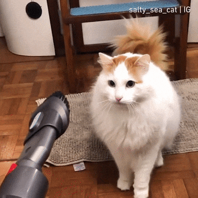 ezgif-5-8f2d21ae6673