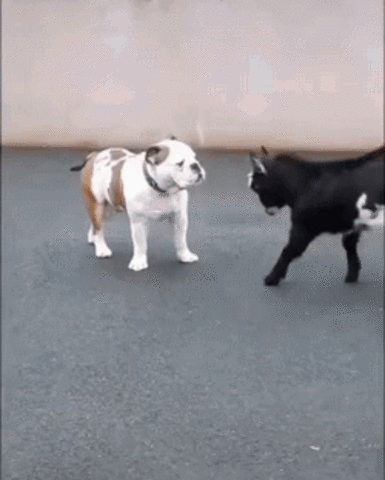 7e902a167b338b51eb20b0507654d6a5_273238_1567412628