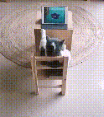 265295b493c0865ed544f99d50531c8d_273238_1567143449