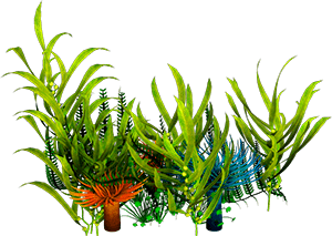 %D0%91%D0%B5%D0%B7%20%D0%B8%D0%BC%D0%B5%D0%BD%D0%B8-1