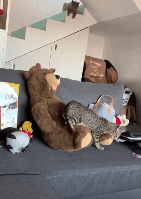 2127c6e76ba992fa0bd81bbe452b2114_273238_1566798247