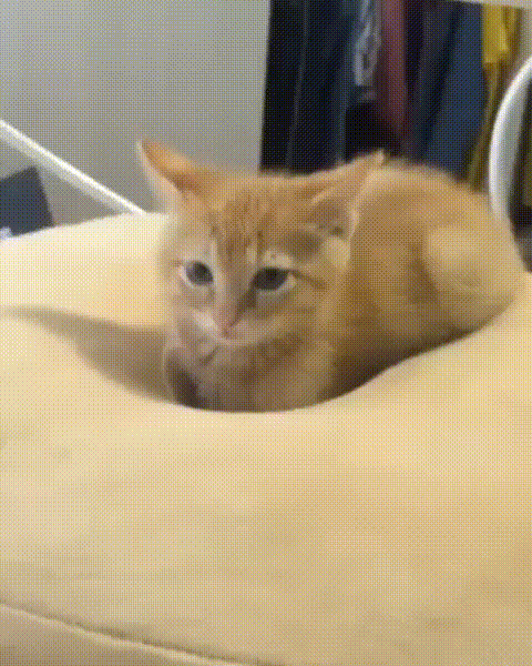 75540826_698819220625148_7358888280370836429_n