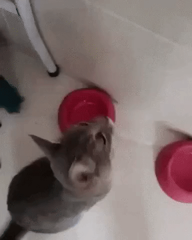 b144ebc1e6d9d2b633b81790e72bf38f_273238_1566798459