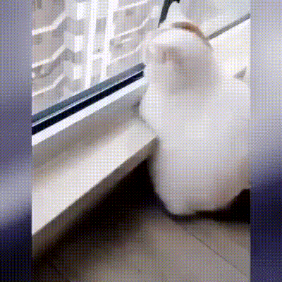 475fdc6172fa02df47b231050f485cc8_273238_1568268081