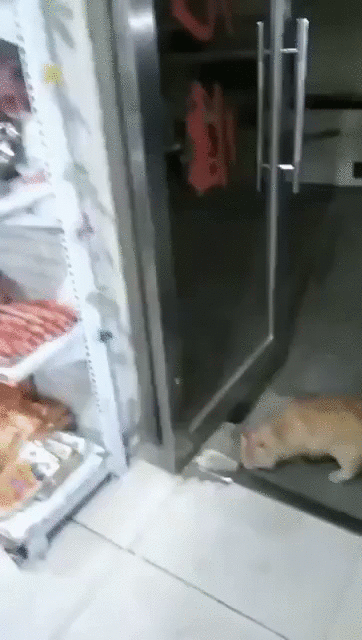 c6ea7402d6394cb346cba70cafb529bc_273238_1568268518