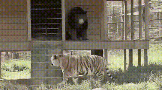 8d64751052d0104be6b2f01d5c4c3279_273238_1568785844