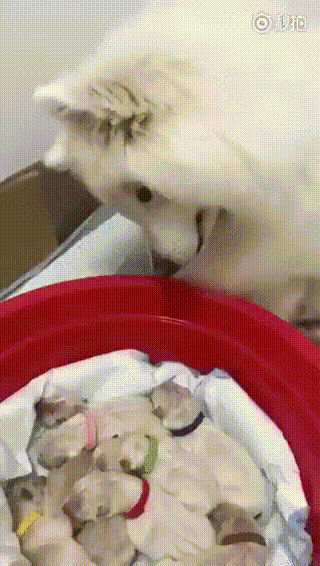 69c658462ecec2cad60b26033e3588aa_273238_1568614436