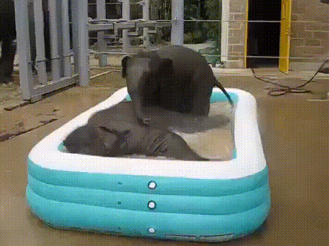 614ce12890a9a8b7887c79abf4070a72_273238_1568614473