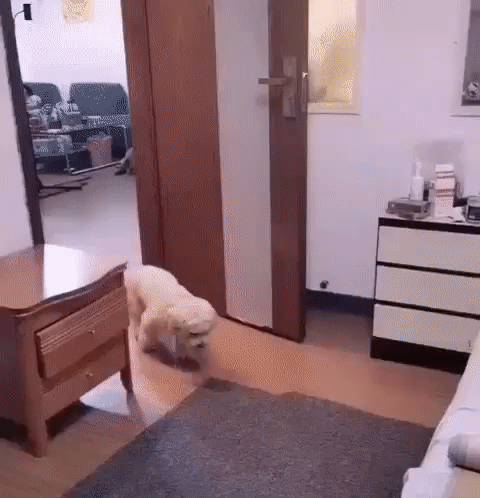 764840b8c350269651df2a8e5d0d60a0_273238_1568190749