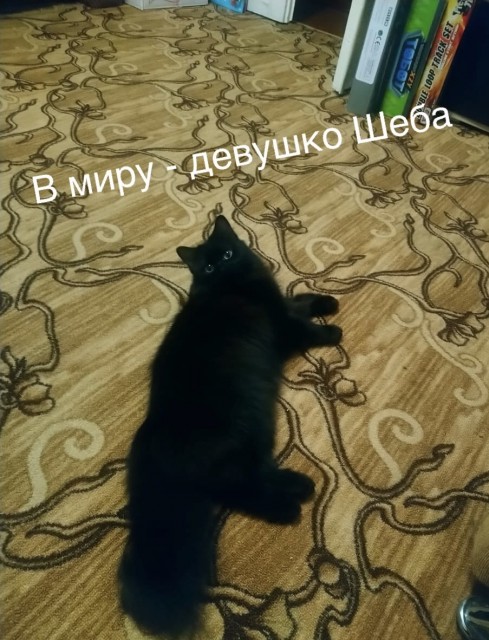 2019-10-27 19.39.19