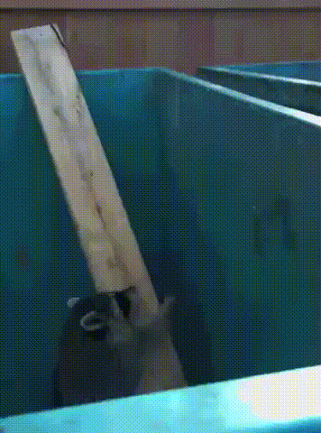 cd757e6468a249608cb9e803cfd24392_273238_1501767163