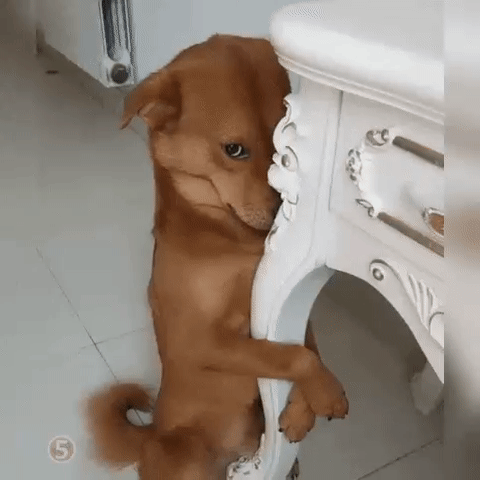 831e66cfbba23280afa36c3ccd8b1a99_273238_1570599670