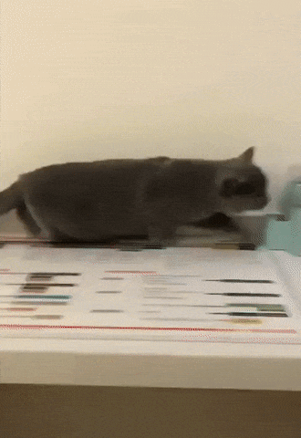 Kogda_uznal_chto_v_gosti_priedut_gosti_s_detmi