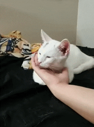 ezgif-5-f0baf07b56d2