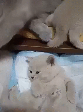 Maaaaam_33_33_33_-_Tsss_Ne_krichi_Spyat_eschyo_vse