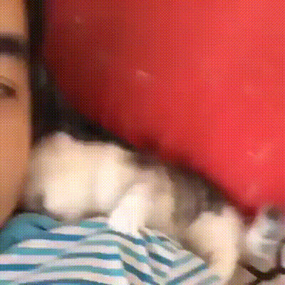 f3ef5f9db1dd3899b04e8c6836d5780e_273238_1501927612