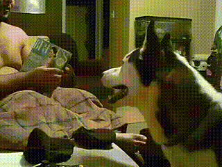 37376524795bd88cc8c2a2b581854959_273238_1501927834