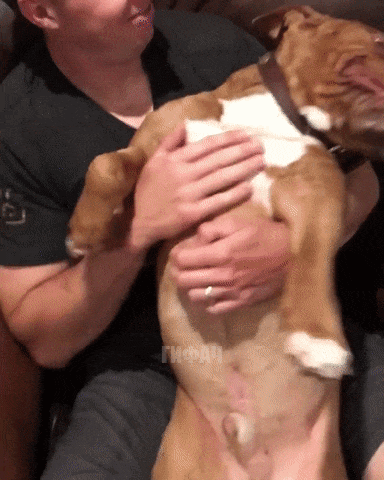 deaa7ca0d4de0dcfe258f9a4affdd0a2_273238_1501927789