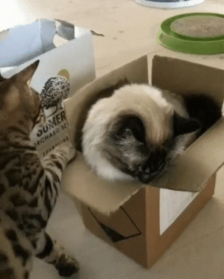 fc0cdc690d854629b87a17eeb9f95c16_273238_1502013252