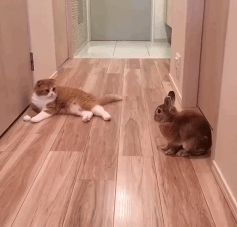 78e3ce21d9cdd0c5b579ebeaeaec3e67