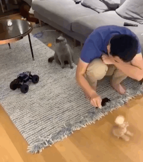 019CEBA2-4A6A-4A26-A3AA-0543BBD16317