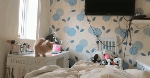 b368e66992f0909c725b82032c414ed8_273238_1502646499