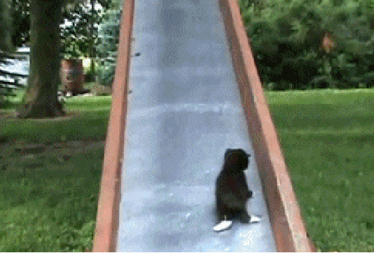 b3dd9663d308d0dde25c6c2ec521fef0_273238_1502689008