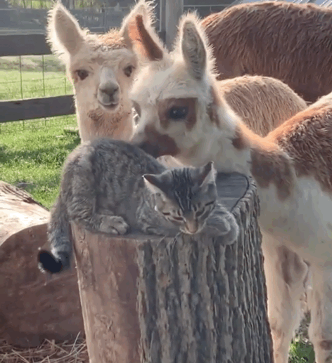 F19EAAEE-2EC6-4623-AA39-CA9C85015F1D