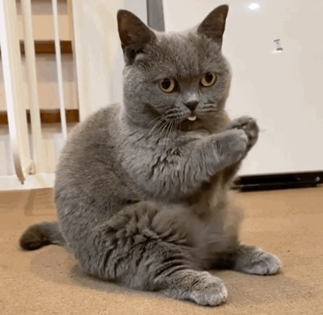 ECD1CF02-9687-47BD-A09A-8D5AF8A8BE83