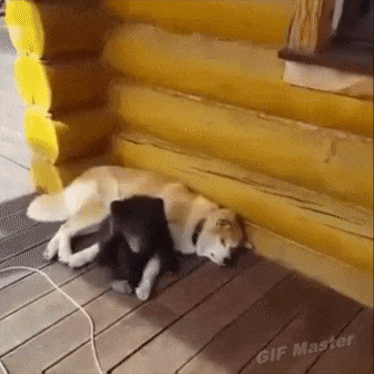 05ee9123ee1c74267a4245b0a66f2405_342249_1574374478