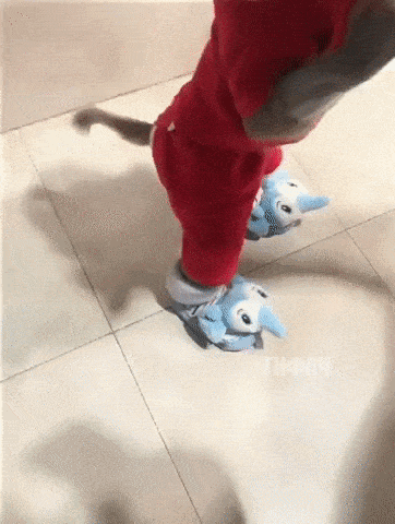 a2cbea4ae7e71f3a15d03d369d2f8244_187945_1546824758