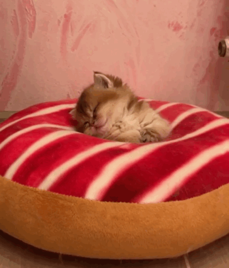 D09A8D21-93E2-40E2-88B0-B1D9D3673425