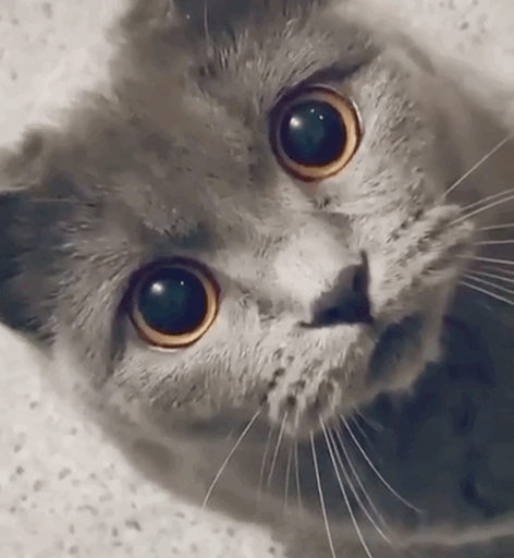 EBA1620E-98C6-46BE-AB45-124D33B4AC40