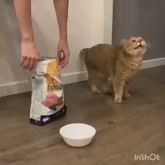 Горшочек не вари!