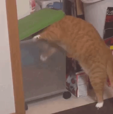 4449d6648accb19cf708b9d8aa2204ba_359458_1573807918