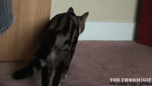 1456945217155051678_1