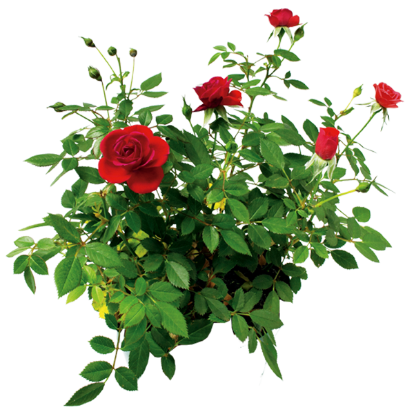 artage-io-thumb-8e62b7e913696befee41f6862ccf5679